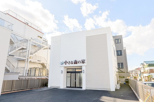 小さな森の家　江戸川大杉